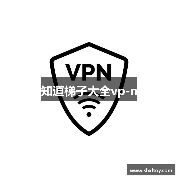 知道梯子大全vp-n